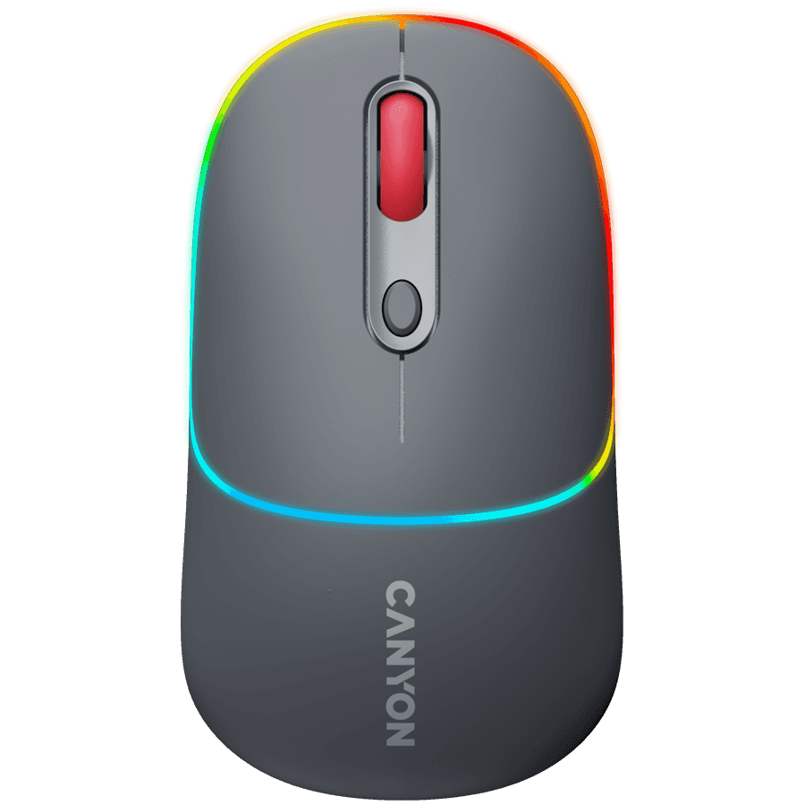 CANYON mouse MW-22 2in1 BT/ Wireless Dark