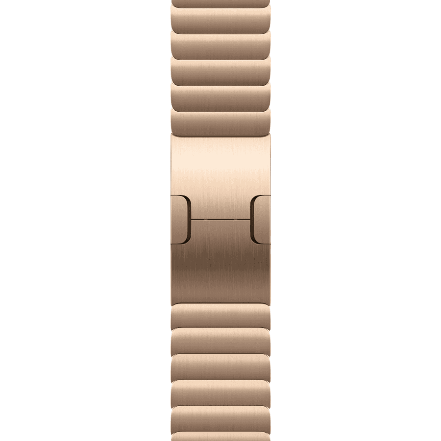 42mm Link Bracelet