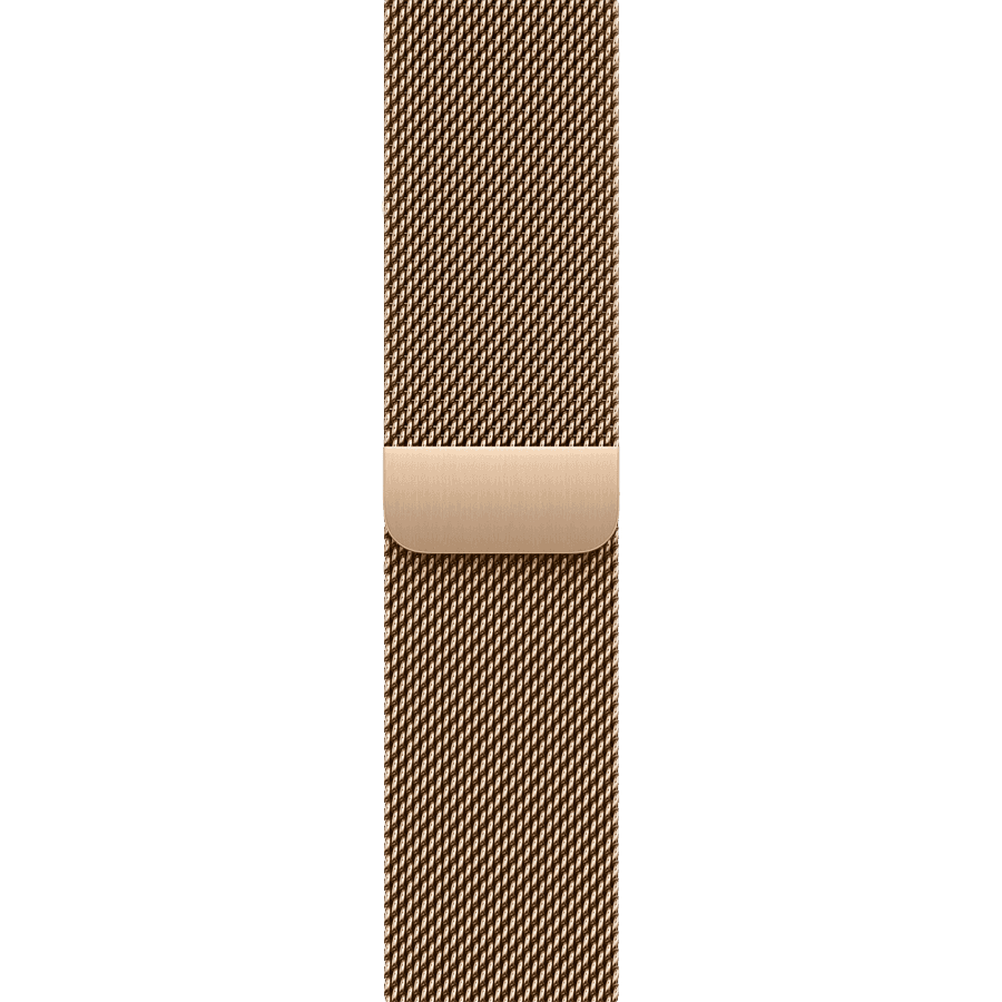 42mm Milanese Loop
