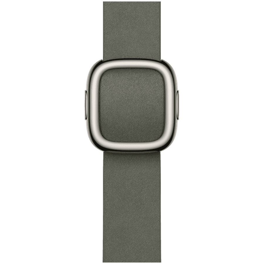 42mm Sage Gray Modern Buckle - Medium