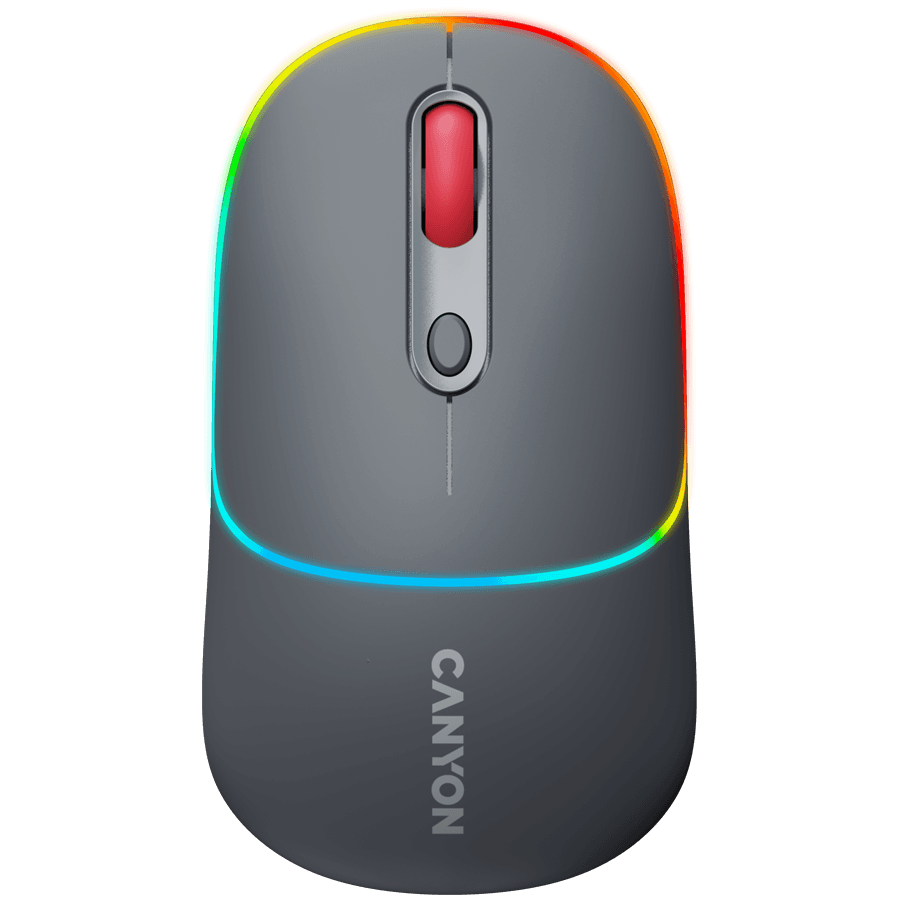CANYON mouse MW-22 2in1 BT/ Wireless Dark