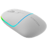 CANYON mouse MW-22 2in1 BT/ Wireless Snow image 2