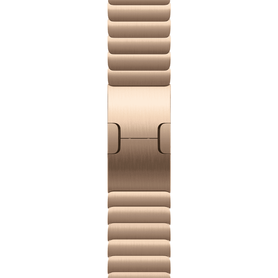42mm Link Bracelet