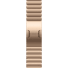 42mm Link Bracelet image 1