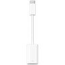 USB-C to Lightning Adapter image 1
