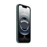 iPhone 16e Silicone Case – Lake image 4