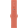 42mm Tangerine Sport Band image 1