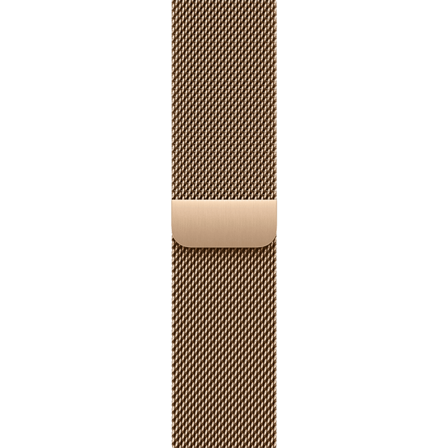 42mm Milanese Loop