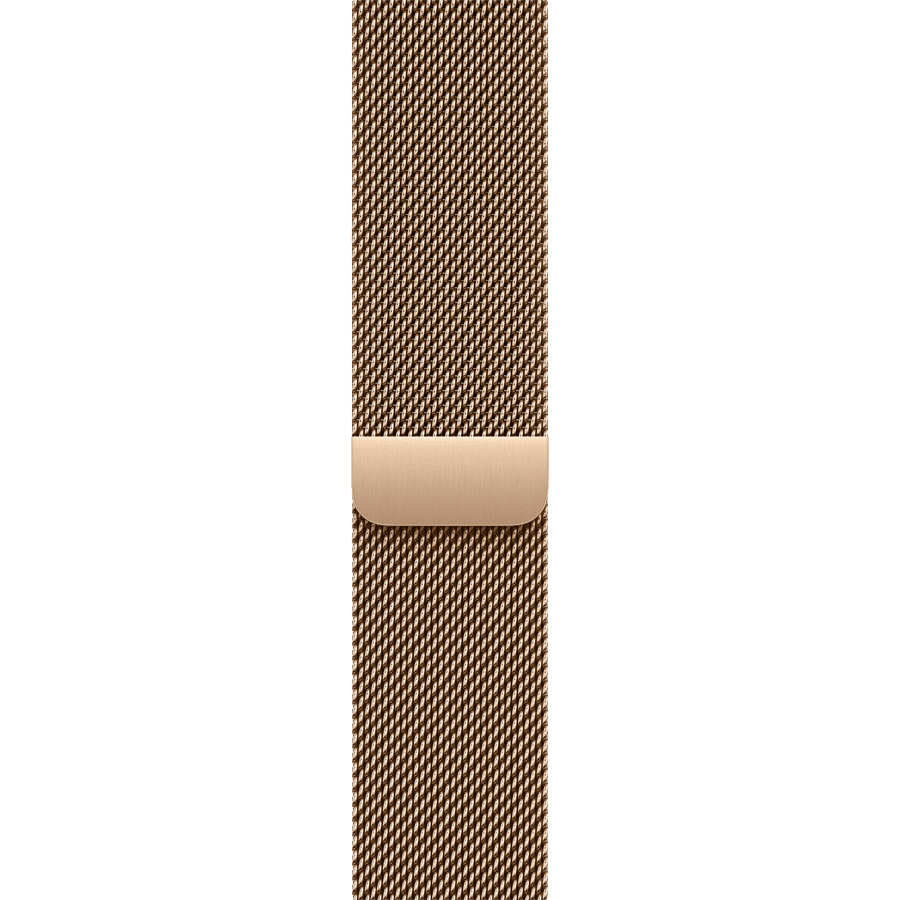 46mm Milanese Loop