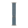 49mm Light Blue Alpine Loop - Small - Finish image 7