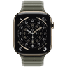 46mm Sage Magnetic Link image 3