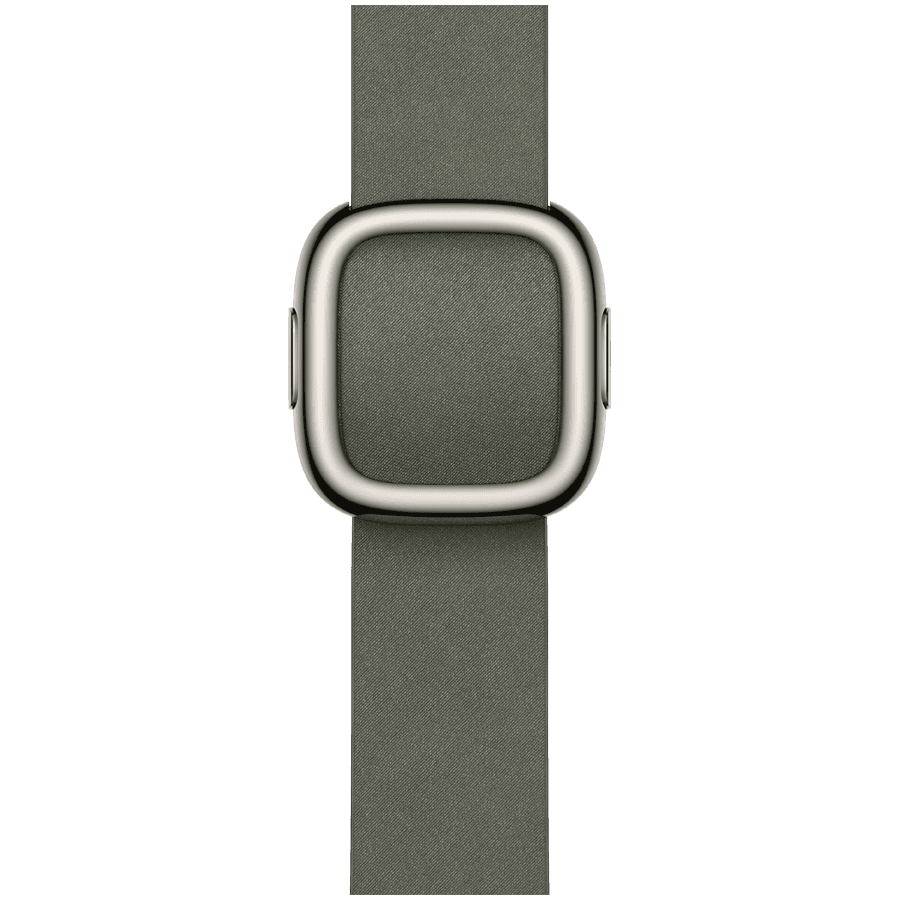 42mm Sage Gray Modern Buckle - Large