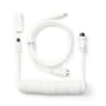 Keychron Coiled Aviator Cable image 2