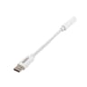 Gizzu USB Type-C to 3.5mm AUX Audio Adapter image 1