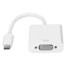 Gizzu 1080P Type-C to VGA Adapter Poly image 1