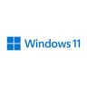 Microsoft Windows 11 Home DSP image 1