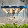 Kingbrite P55 240W BAR Grow Light with UV+IR |Samsung LM281B image 6