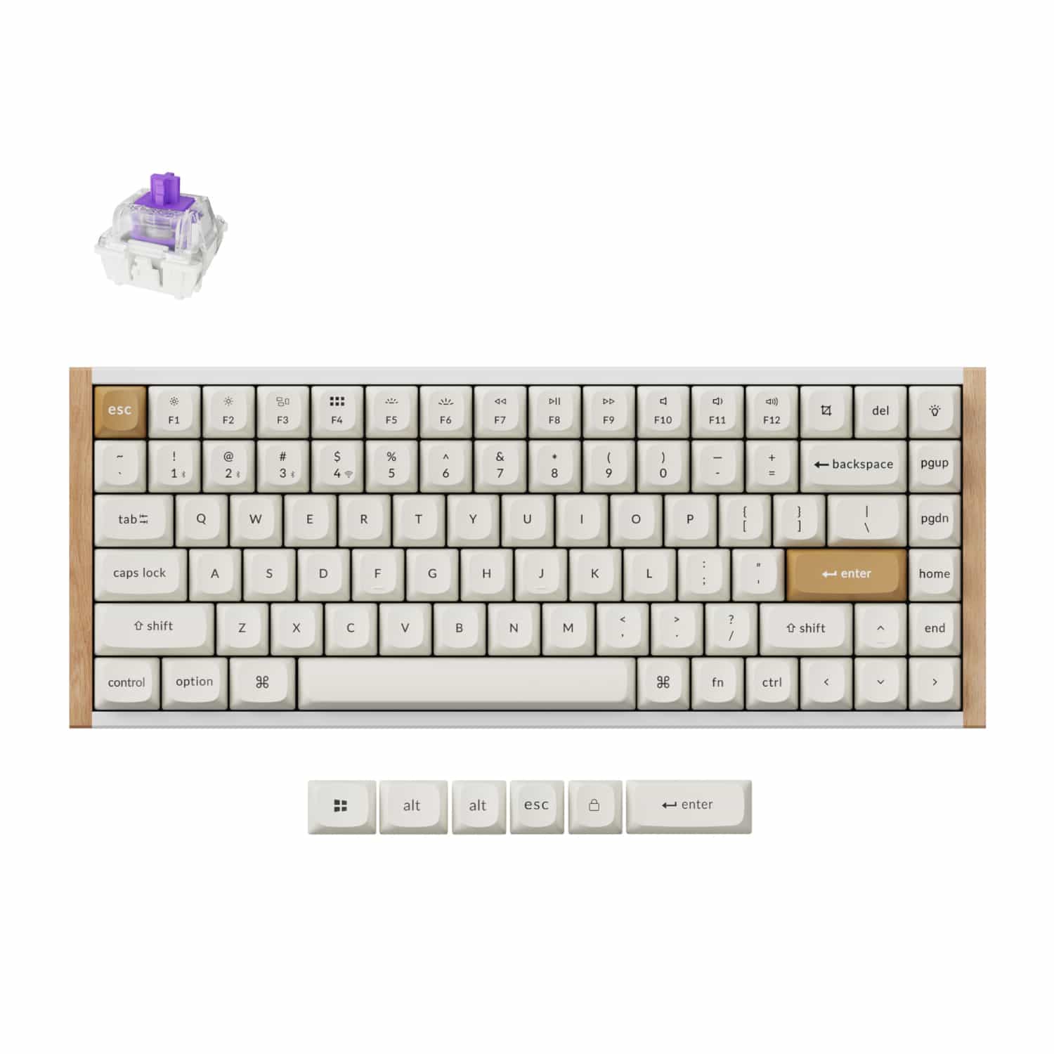 Keychron K2 HE Wireless Special Edition Magnetic Custom Keyboard | NEBULA Switch