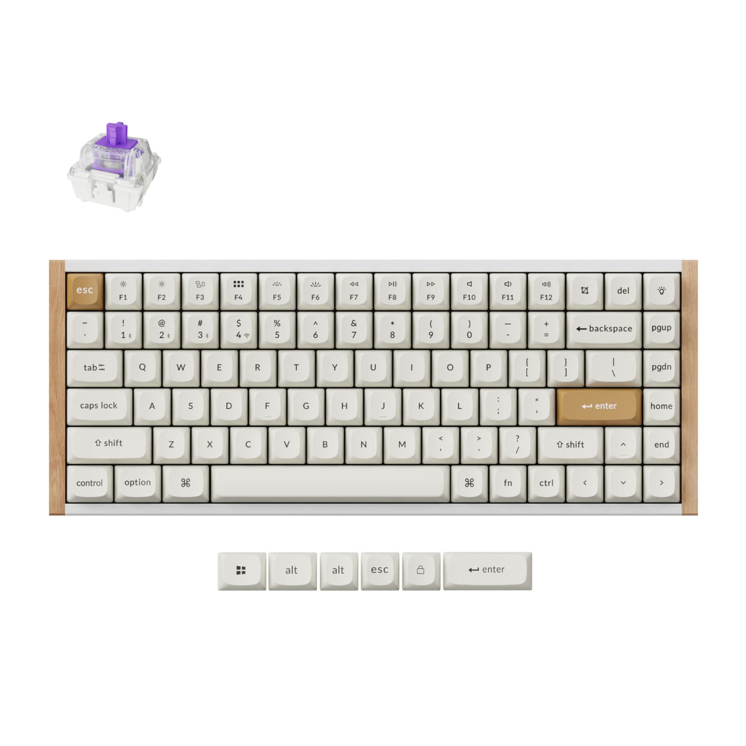 Keychron K2 HE Wireless Special Edition Magnetic Custom Keyboard | NEBULA Switch